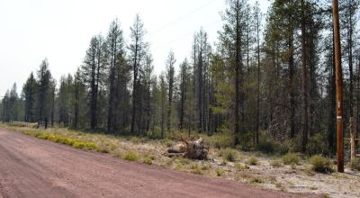 One Acre Lot Near Crater Lake Southern Oregon - Power - HWY 97 - Camping Permitted