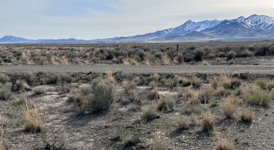 7.69 Acres at the Intersection of Godchaux and Poleline Roads in Paradise Valley Ranchos