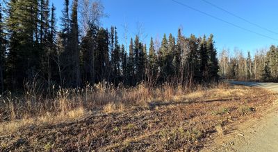 Rustic Wilderness - Over 1/2 Acre - Right off Parks HWY - POWER