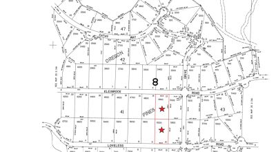Over 3 Acres - Two Adjacent Lots - Partially Wooded - Great Access