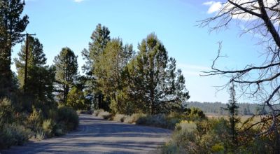 Oregon Pines 1.5 Acre Lot - 2WD Road Access