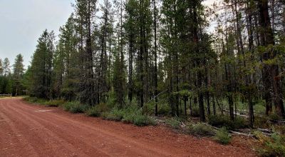 Surveyed One Acre Corner Lot Near Crater Lake Southern Oregon - Power - HWY 97 - Camping Permitted